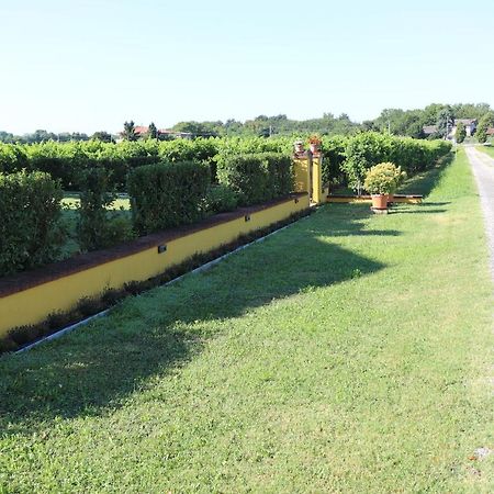 El Canfin Bed & Breakfast Montebello Vicentino Exterior photo