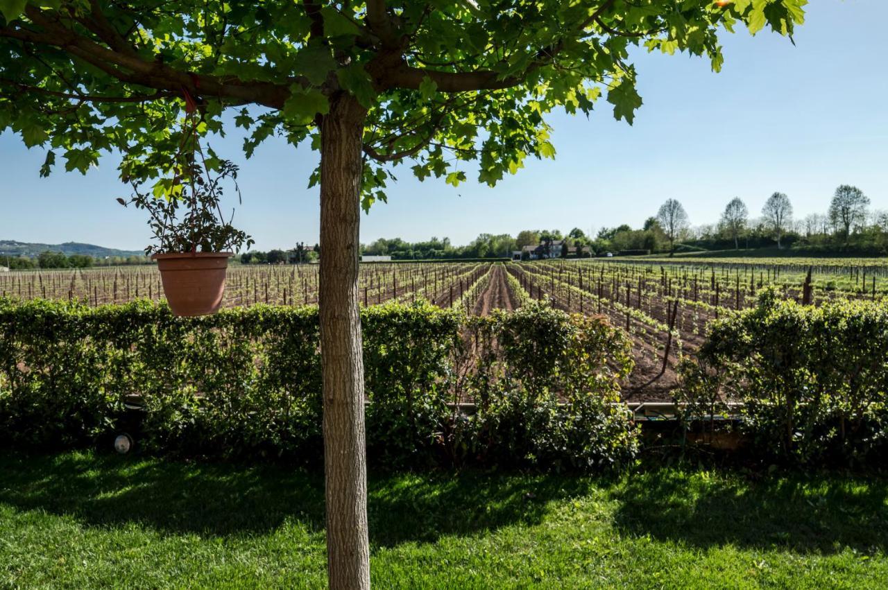 El Canfin Bed & Breakfast Montebello Vicentino Exterior photo